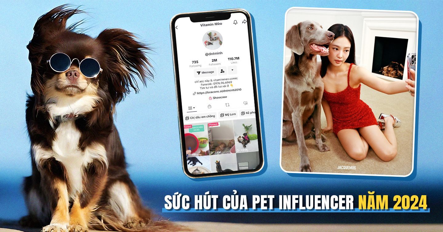 Pet Influencer: Hình ảnh đại diện tiềm năng của các thương hiệu trong năm 2024 