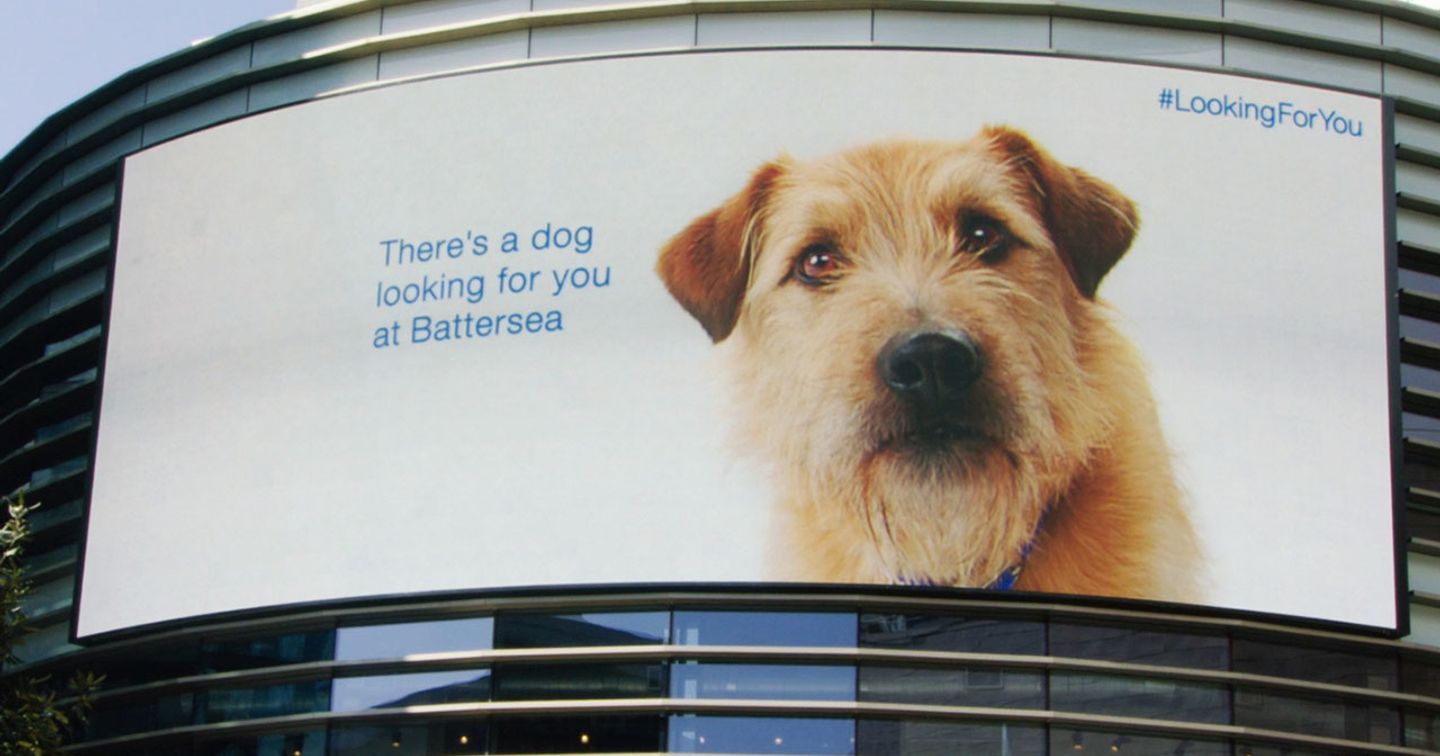 Trung tâm bảo vệ động vật Battersea với chiến dịch DOOH tương tác cực sáng tạo
