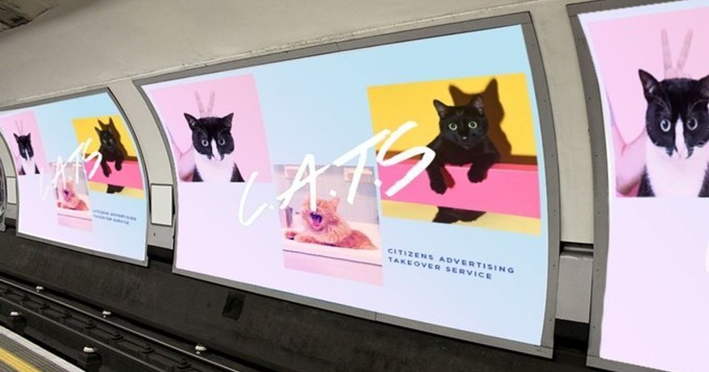 Dự án #CatsNotAds thay thế quảng cáo bằng hình ảnh những chú mèo để lan tỏa niềm vui đến cộng đồng