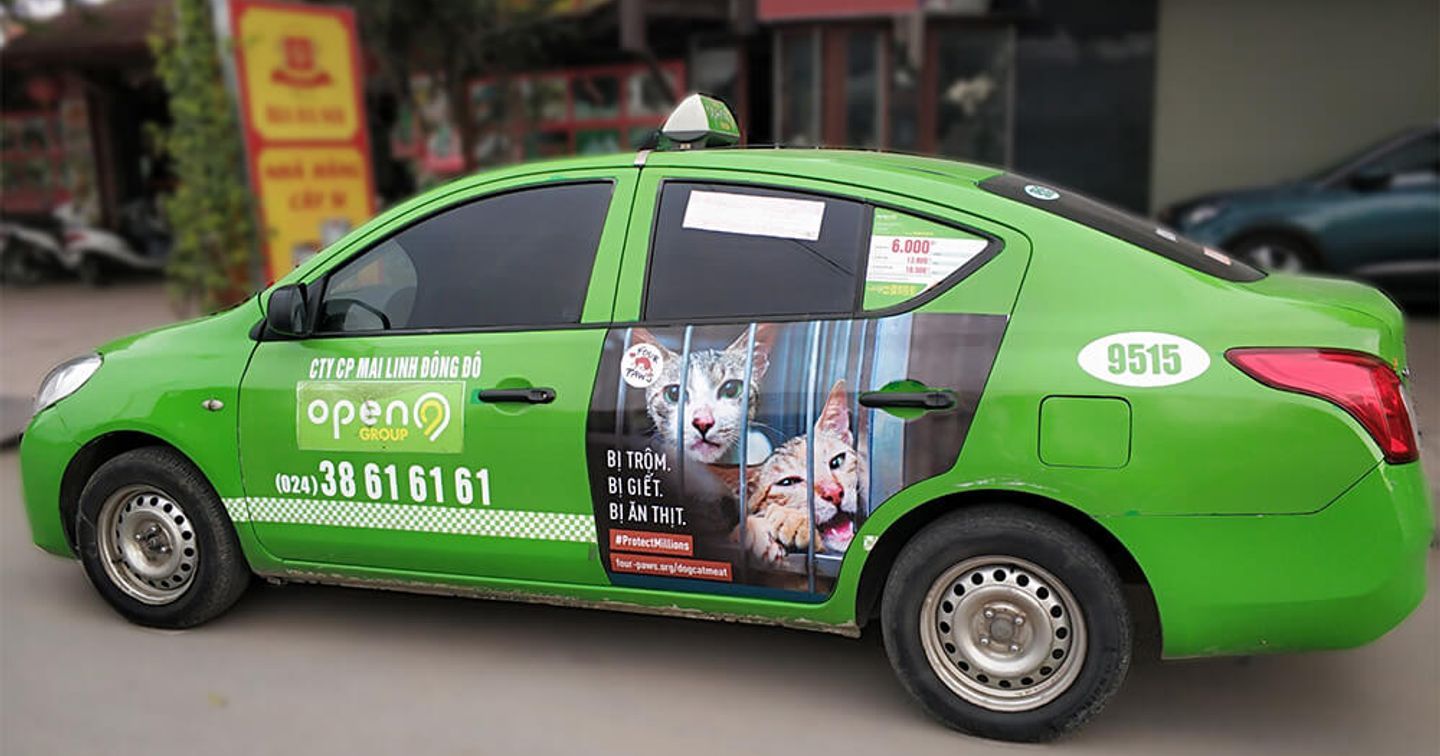 Chiến dịch Protect Millions lan tỏa thông điệp bảo vệ chó mèo ở Đông Nam Á